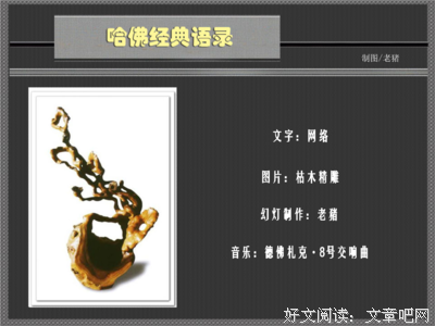 最全的《百年法》经典语录