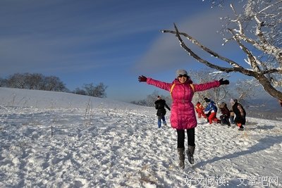子山的语句摘抄_关于子山的语句