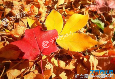 描写屈才的经典句子