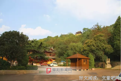 关于楚风名言名句