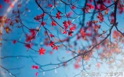 氤氲雾起孩眼水句子