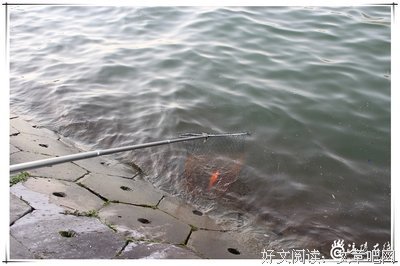 《佳》的句子
