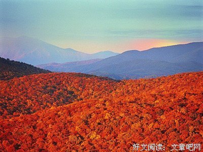 孤独与自爱同好过了的优美句子