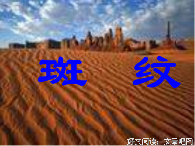 《素食》的句子