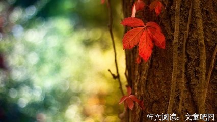  金典优美的句子
