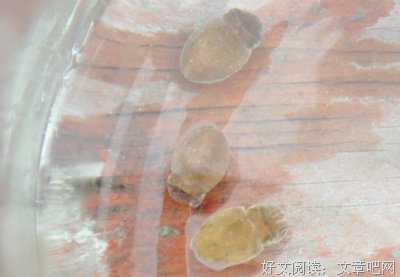 有关我是墨水的名句