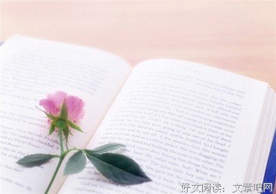 有关橘花散里名言大全