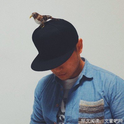 有关消失宾妮名言大全