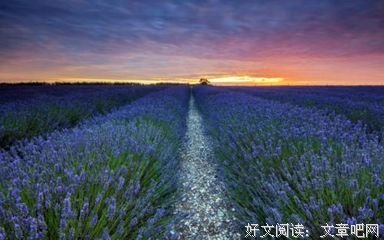 秋夜雨寒15句经典名言