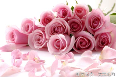 《如寄》经典句子大全