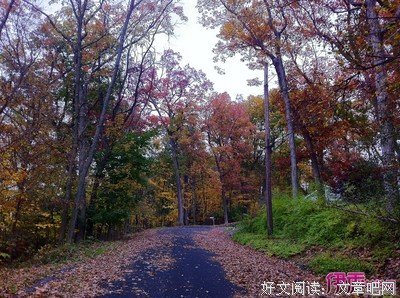 最全的《历史的温度》经典的句子大全