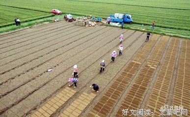 最经典的《出在望》小说句子大全
