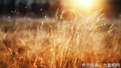 《安知我意》小说句子