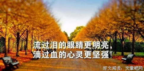 《短句集》经典句子