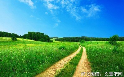 最经典的《春樱亭圆紫和我系列》好段摘抄