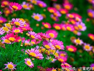 最新的《爱》经典句子