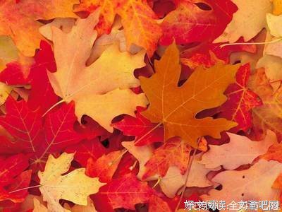关于无所不在的唯美语录