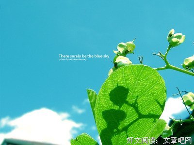 一劳永逸的句子
