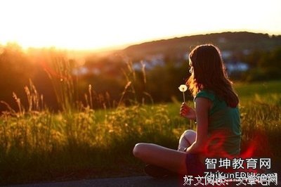《情怀狗的爱情》的句子