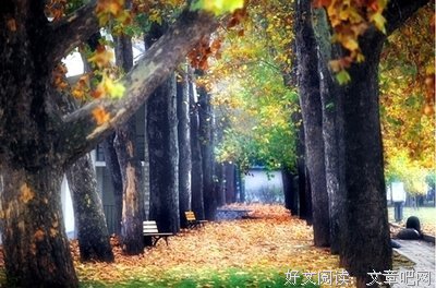 交换女友，拍私密照：一场以耍流氓来测试爱情的真人秀