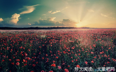 关于美句的句子
