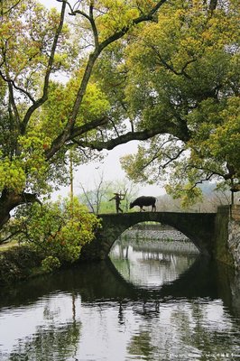 样就种第心任多大沉淀名句欣赏