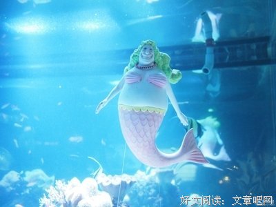 2018路飞的小猪名言
