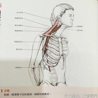 鼹鼠的土豆名言