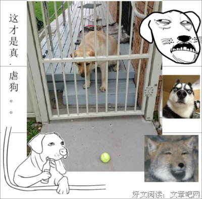 最经典的这么远那么近名言大全
