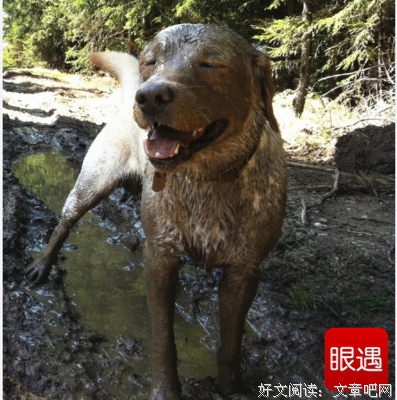 完蛋了，回家要挨揍了