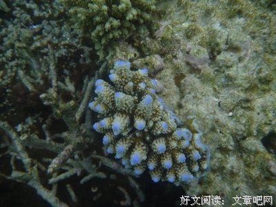 6分钟短片引全网反思：送给生活太丧的你！