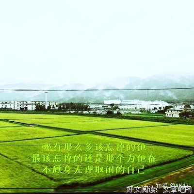 《拥抱》好段摘抄