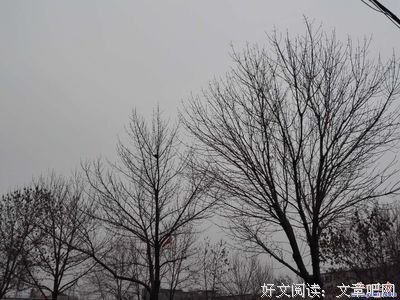 最全的《春雪》好段摘抄