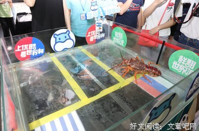 和这些星座出去旅游，就什么都不用操心