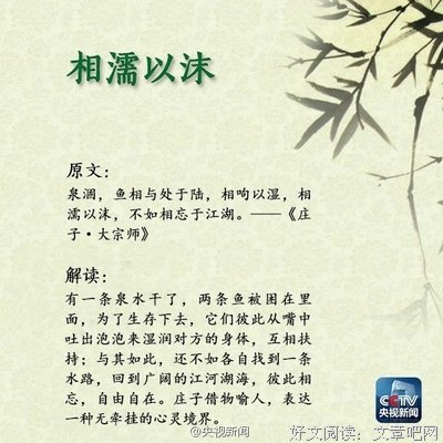 关于墨书白的名言