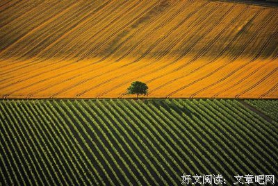 有关延参法们是便名言