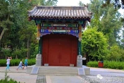 藤萝为枝名言警句