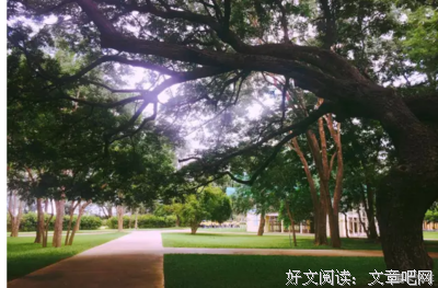 暗恋最美好的地方，在于得不到