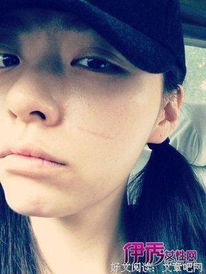 《蝴蝶》名句欣赏