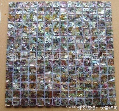 最新的《贝壳》名句欣赏