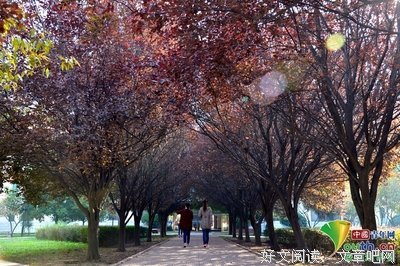 心若向阳，生命之花自然绽放!