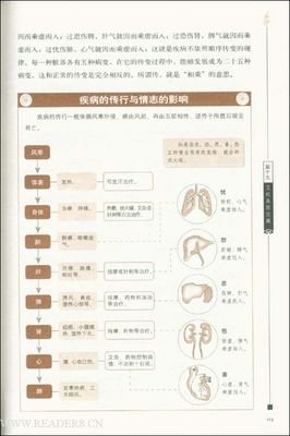 最全的《五行天》经典语句大全