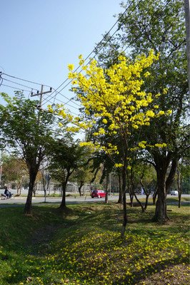 最新的《十日谈》名句欣赏