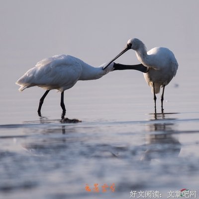 15条关于互帮互助的经典语句