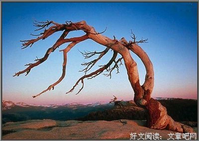 有关劳逸结合的美句摘抄