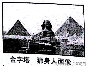 关于丰美的名言