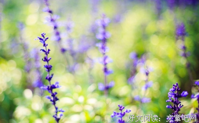 十二星座用什么方式来保持爱情的鲜度