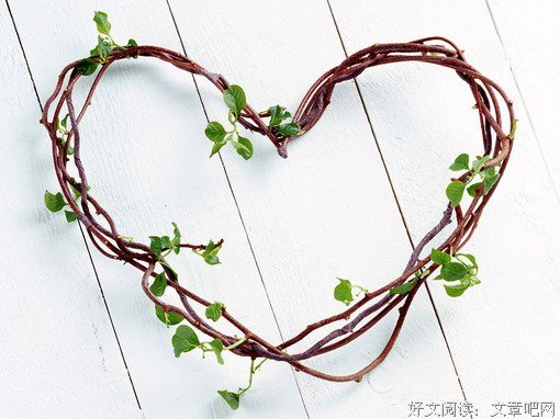 说月年年一品温如言名句欣赏