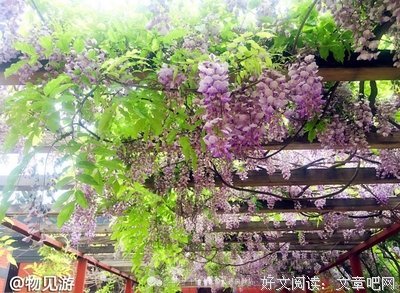 美句格以句，大有诗意