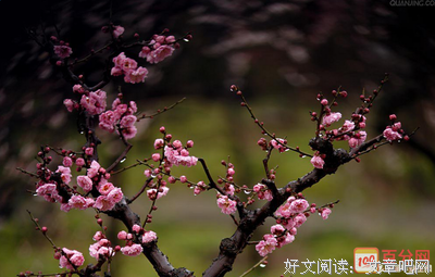 关于我的心物这把上高下要的句子